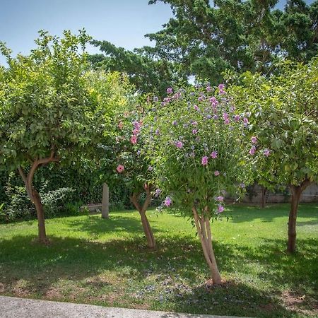 Appartement Piso Con Jardin à Málaga Extérieur photo